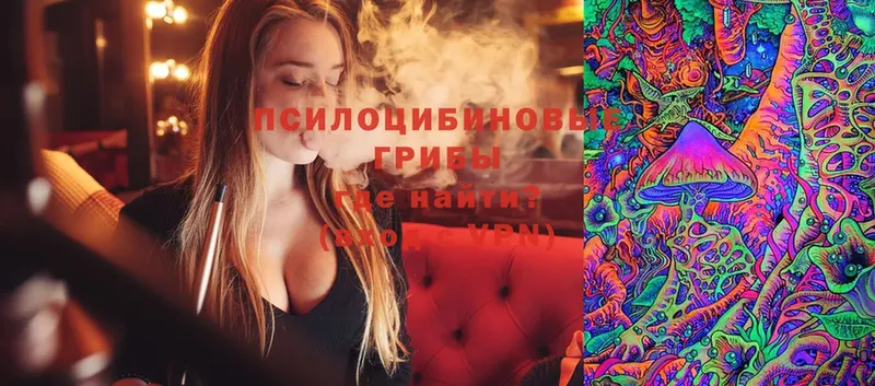 Псилоцибиновые грибы Magic Shrooms  Весьегонск 